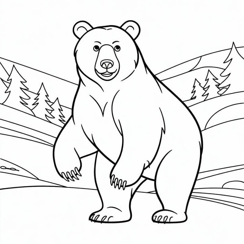 Divoký Medvěd v přírodě omalovánka