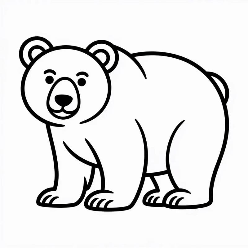 Divoký Medvěd omalovánka