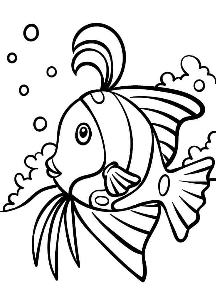 Hezká Ryba omalovánka