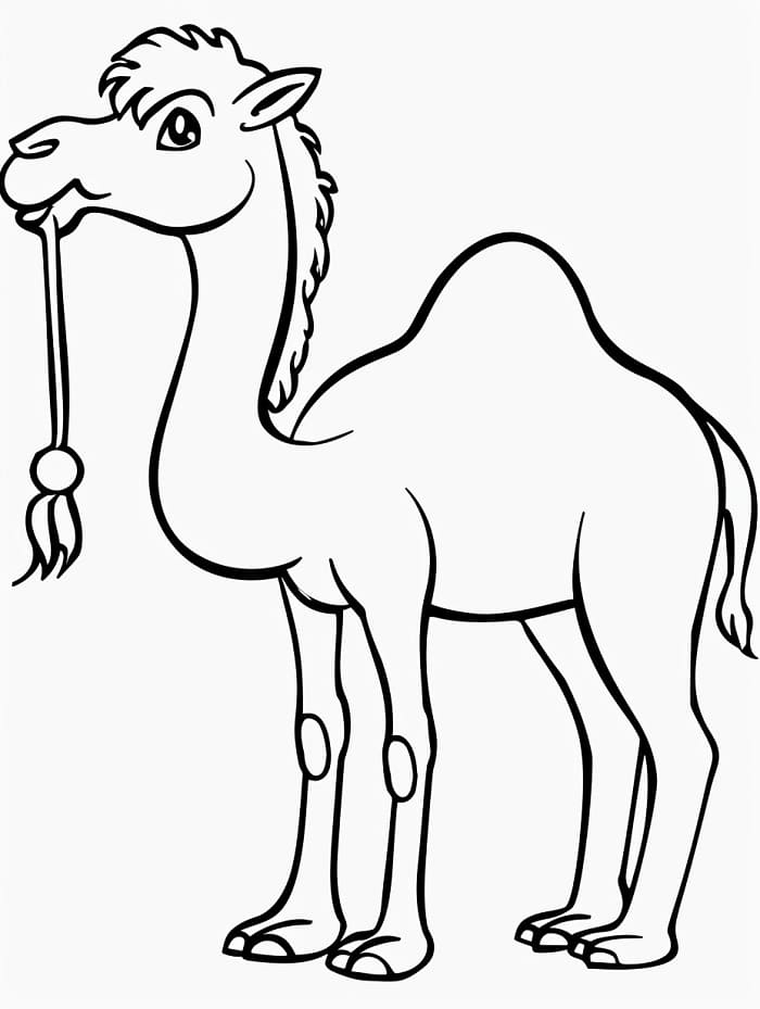 Jeden Velbloud omalovánka