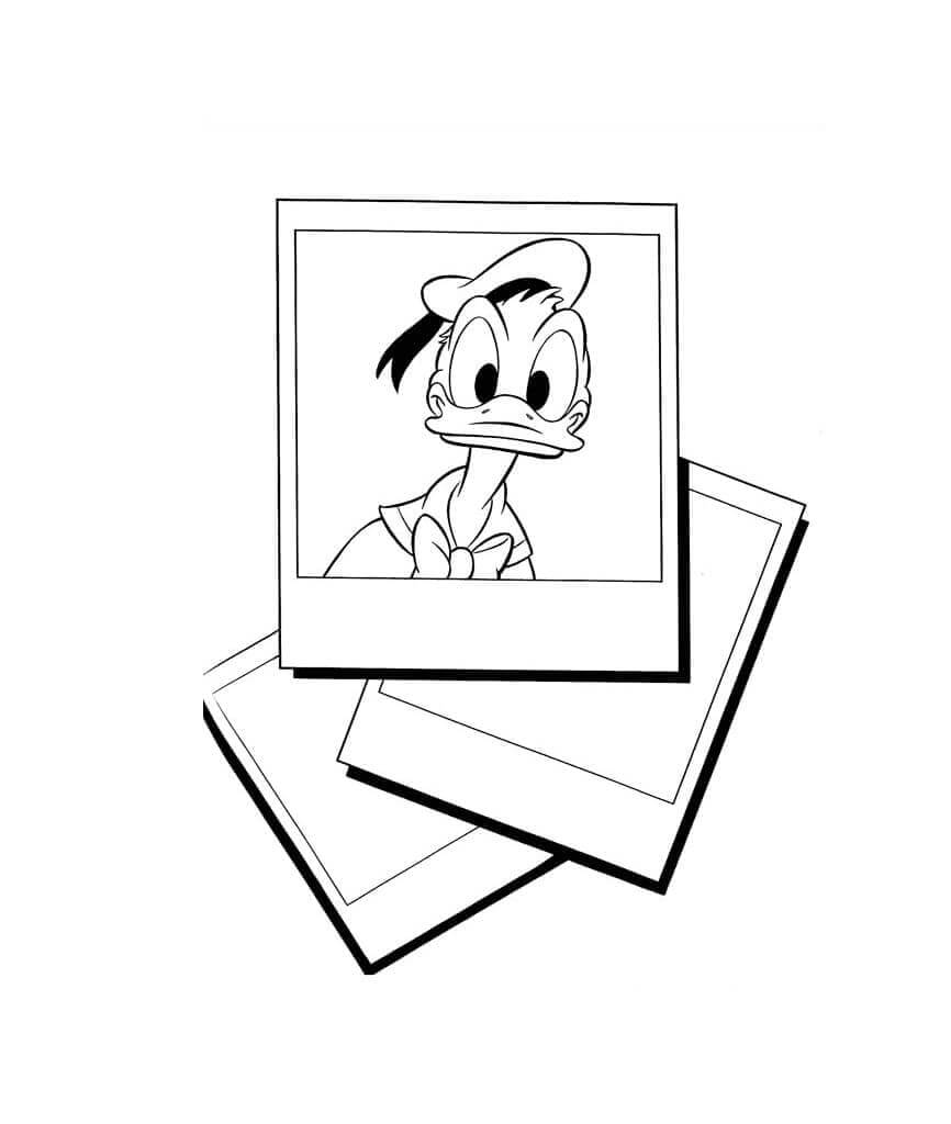 Kačer Donald z Disney omalovánka