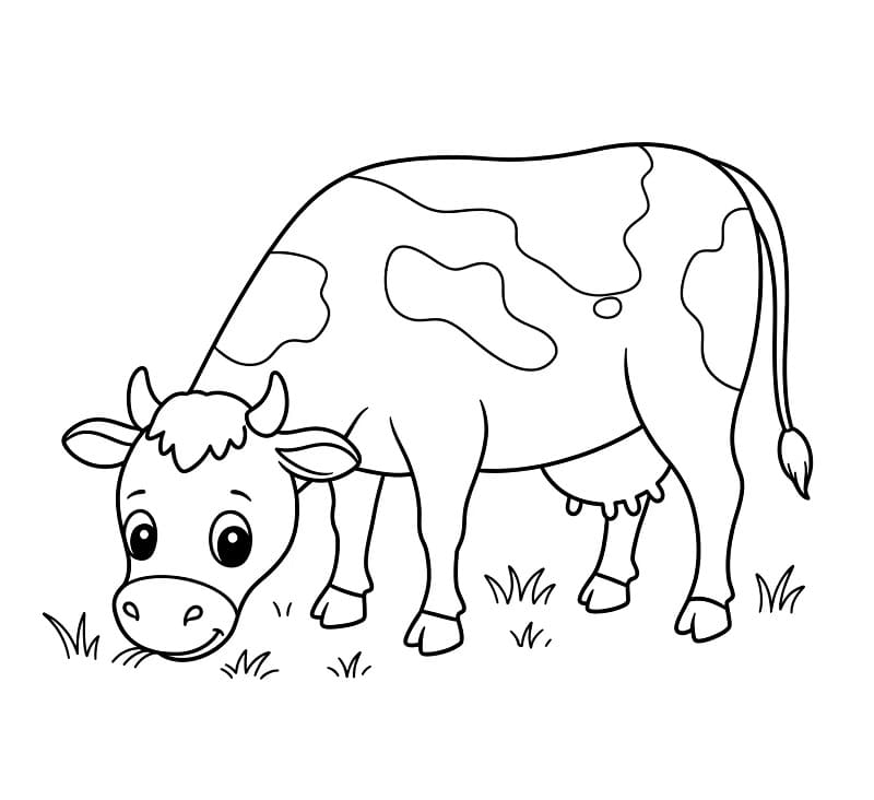 Krávy omalovánky