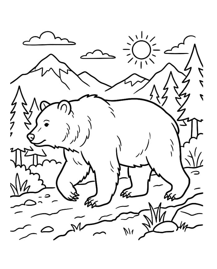 Kreslený Medvěd omalovánka