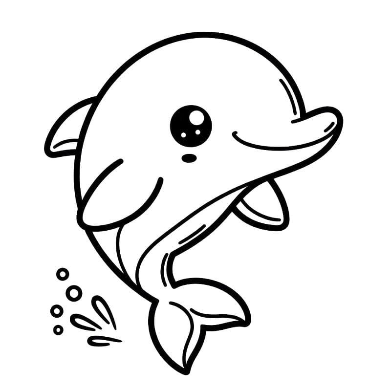 Malý delfín omalovánka