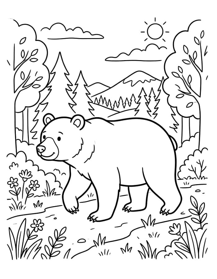 Medvěd omalovánky