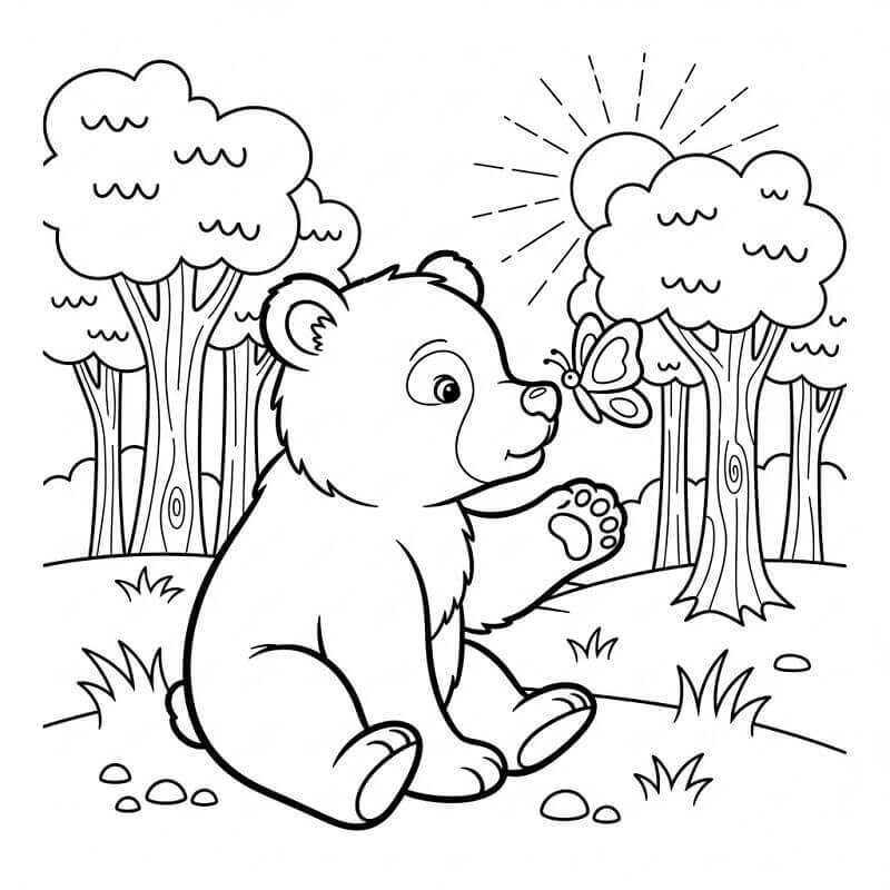 Medvěd obrázek zdarma omalovánka