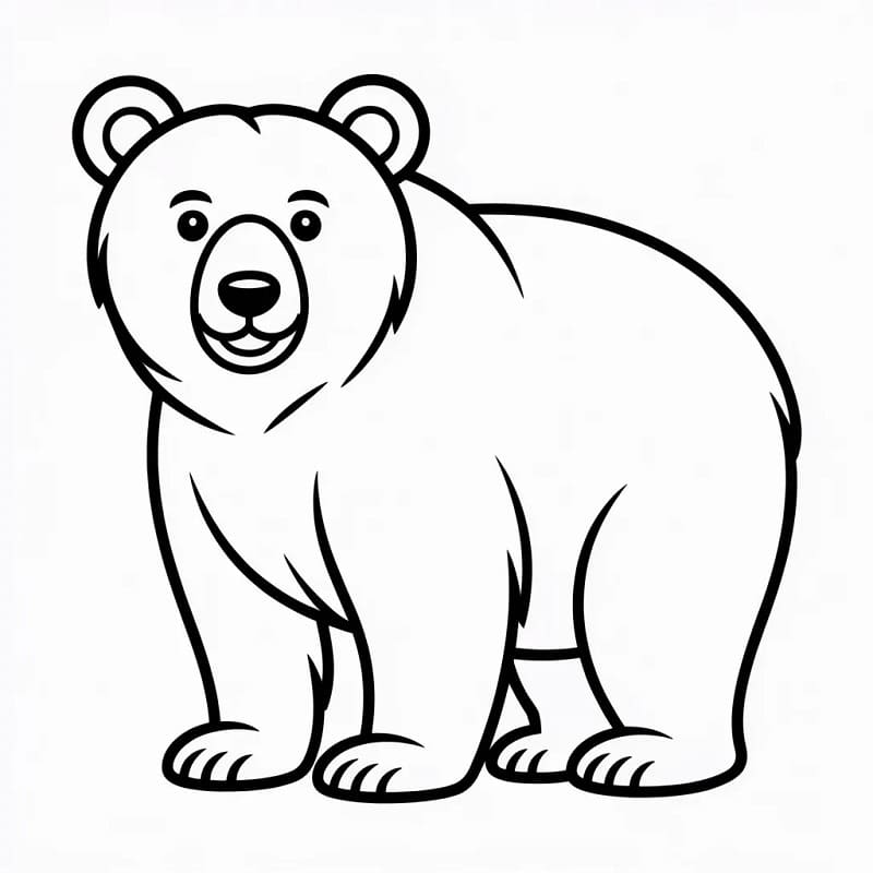 Medvěd omalovánka