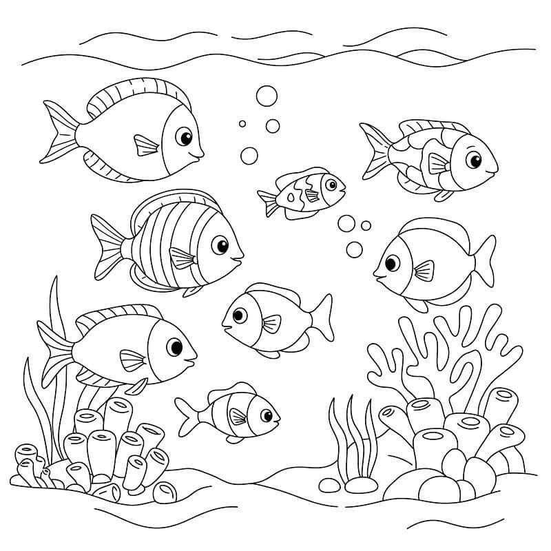 Plavající Ryby omalovánka