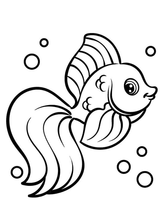 Půvabná Ryba omalovánka