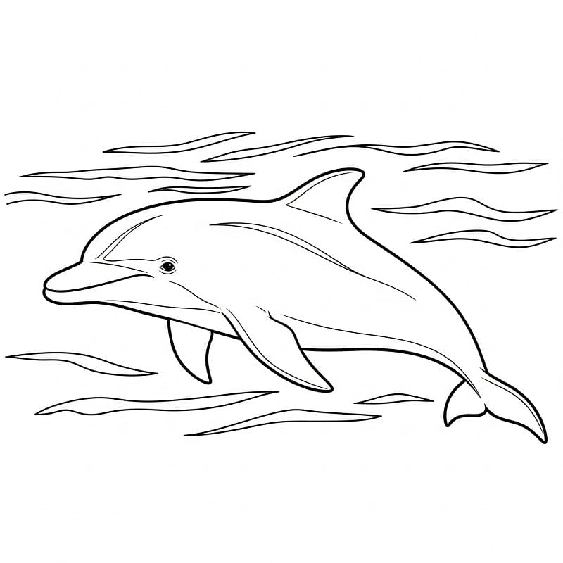 Půvabný Delfín omalovánka