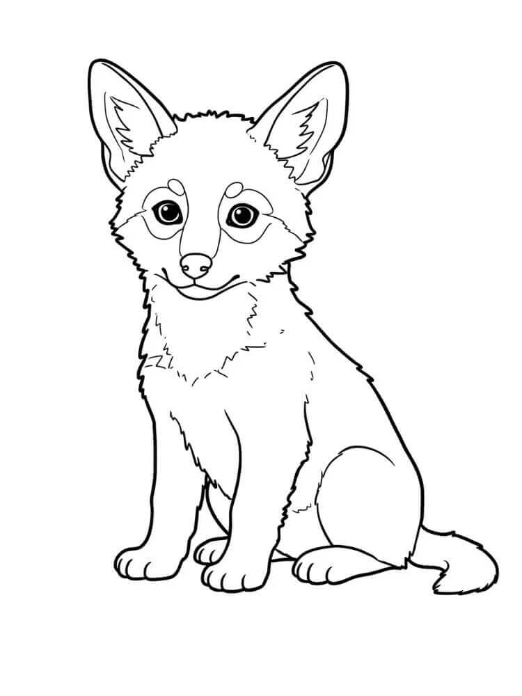 Sedící Kojot omalovánka