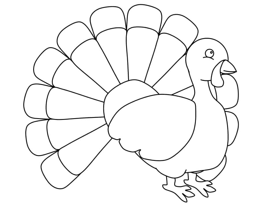 Snadný Krocan omalovánka