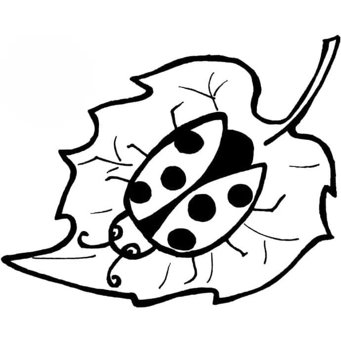 Tisknutelná Beruška omalovánka