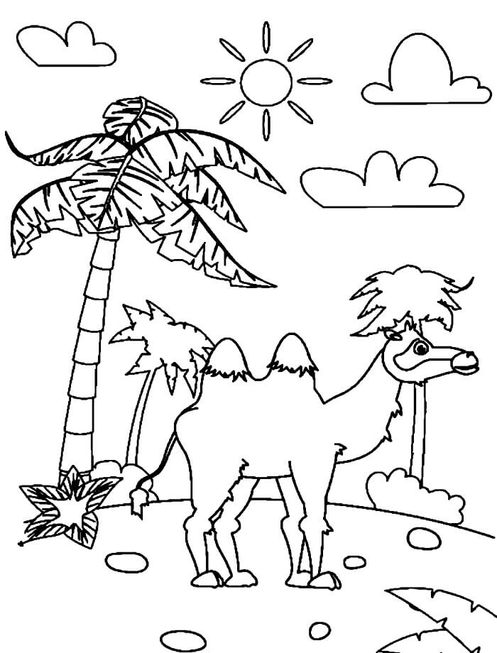 Tisknutelný Obrázek Velbloud omalovánka