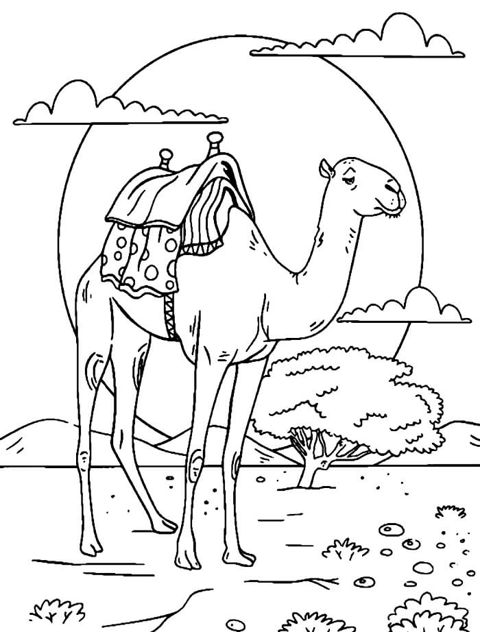 Tisknutelný Velbloud pro Děti omalovánka