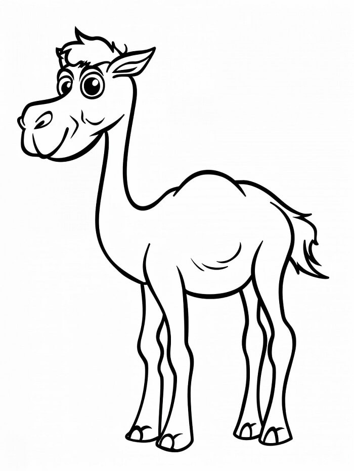 Velbloud Tisknutelný Obrázek omalovánka