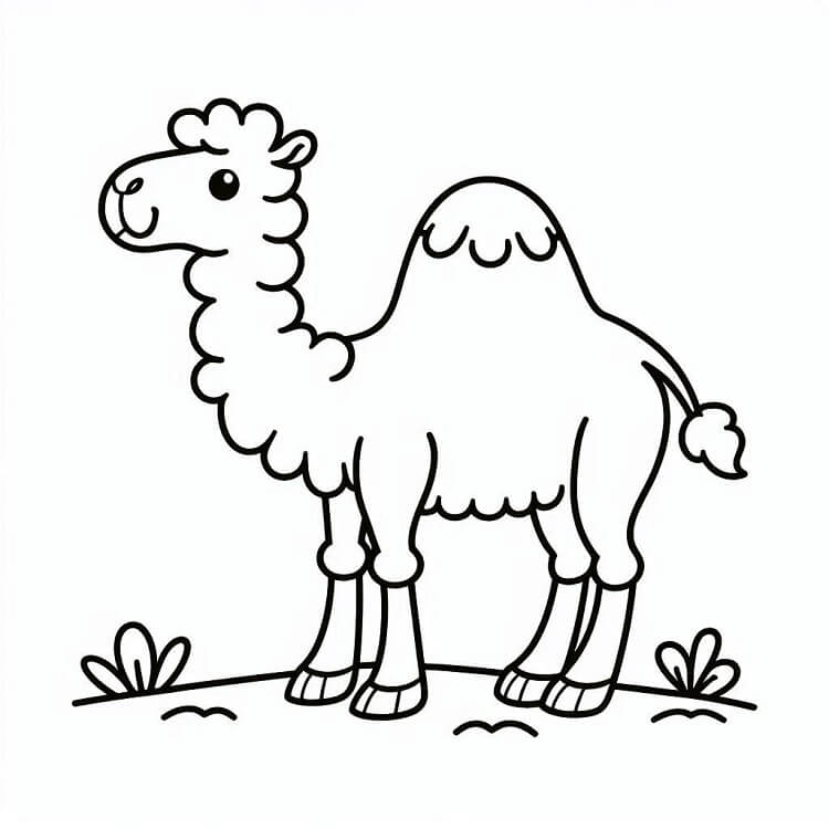 Velbloud pro Děti omalovánka