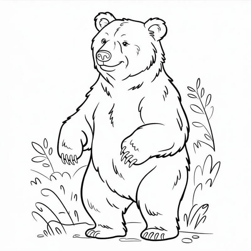 Vytisknout Medvěda omalovánka