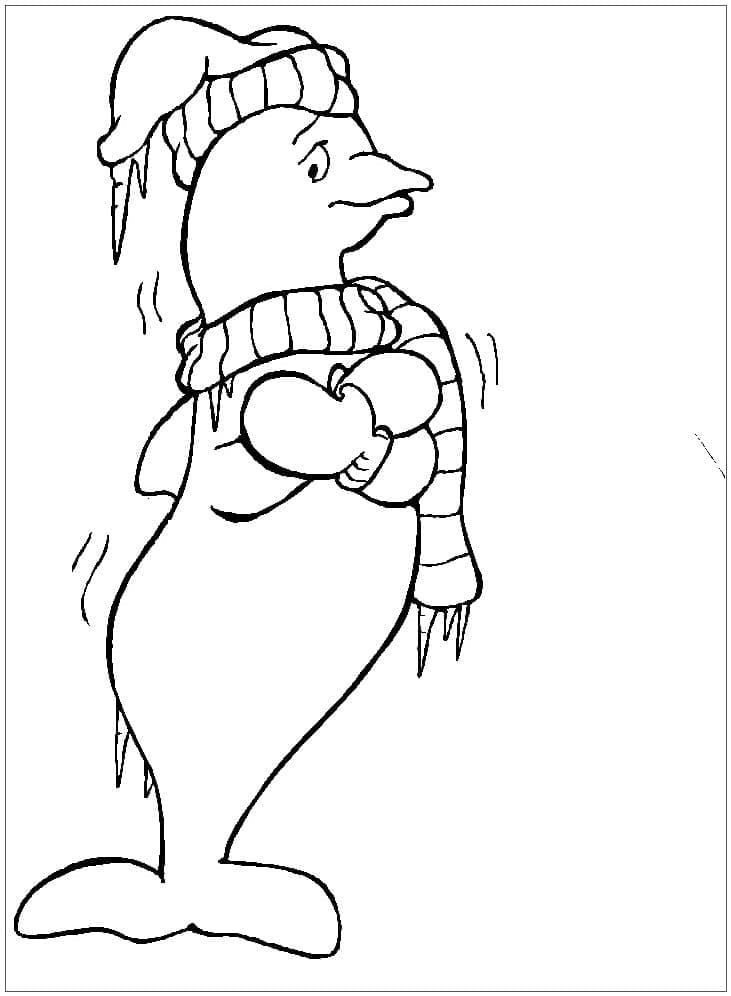 Zdarma Delfín k tisku omalovánka