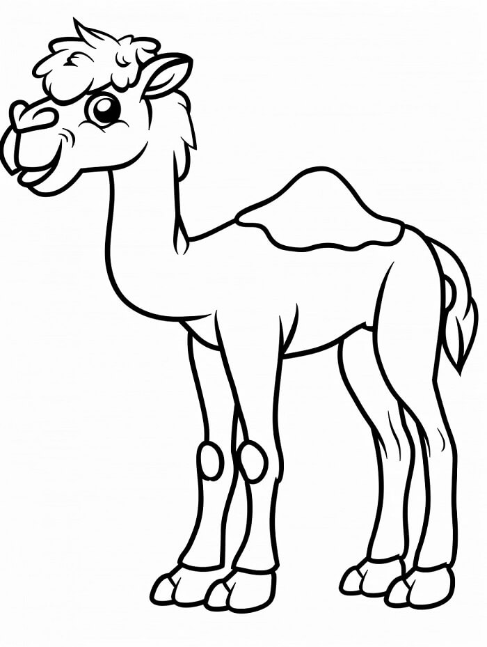 Zdarma Velbloud Tisknutelný omalovánka