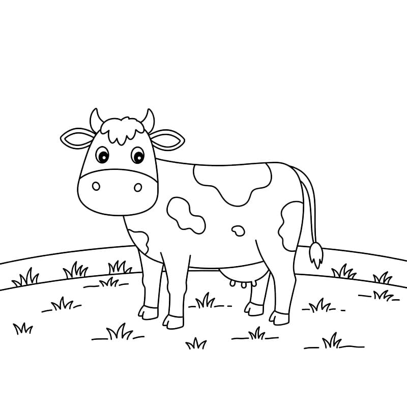 Zdarma obrázek Krávy omalovánka