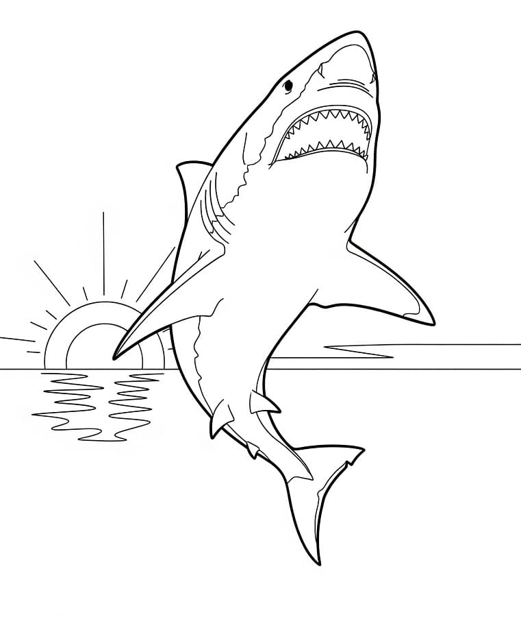 Žralok 3 omalovánka