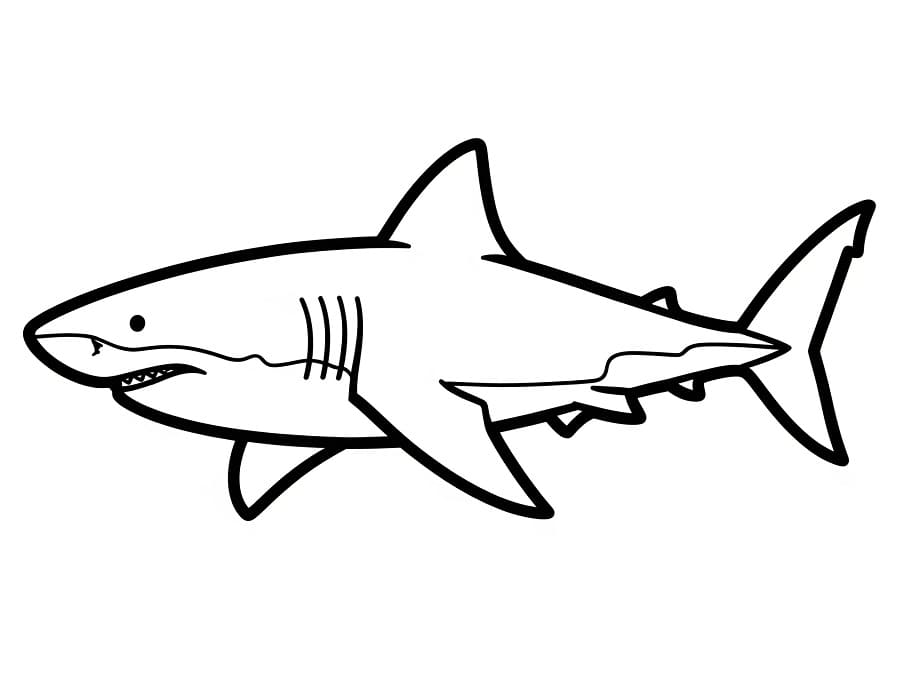 Žralok 5 omalovánka