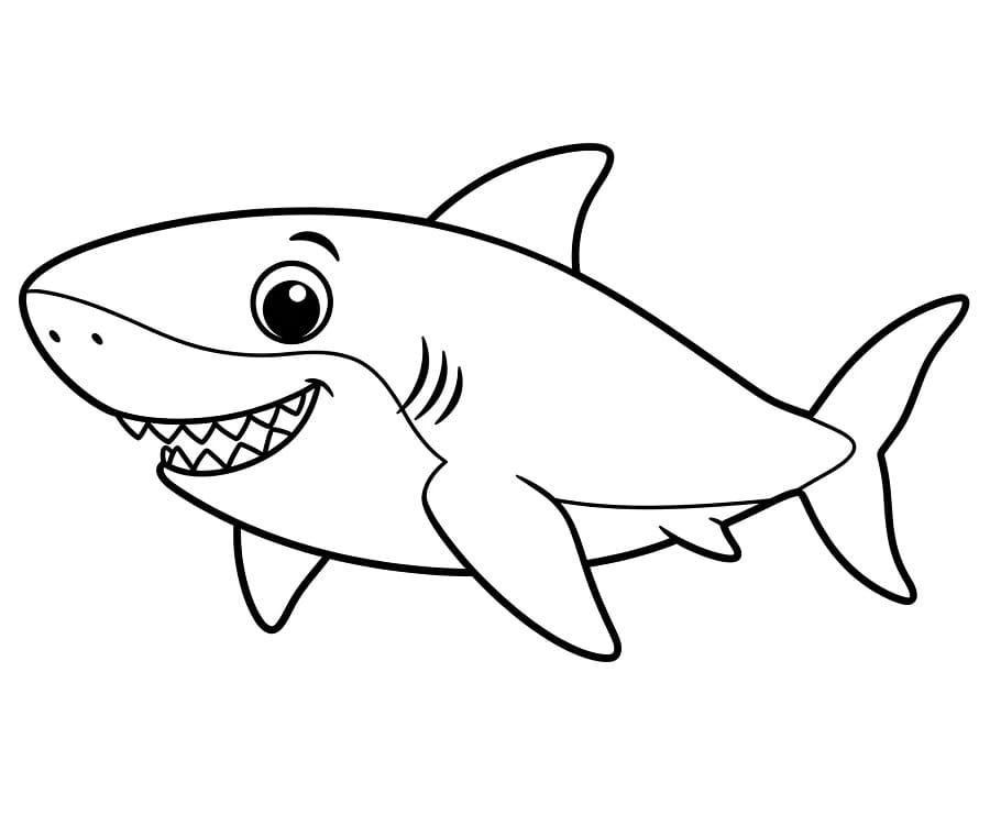 Žralok jako dárek omalovánka