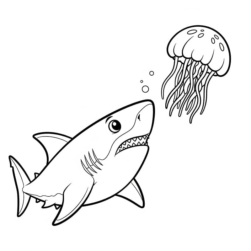 Žralok k tisku omalovánka