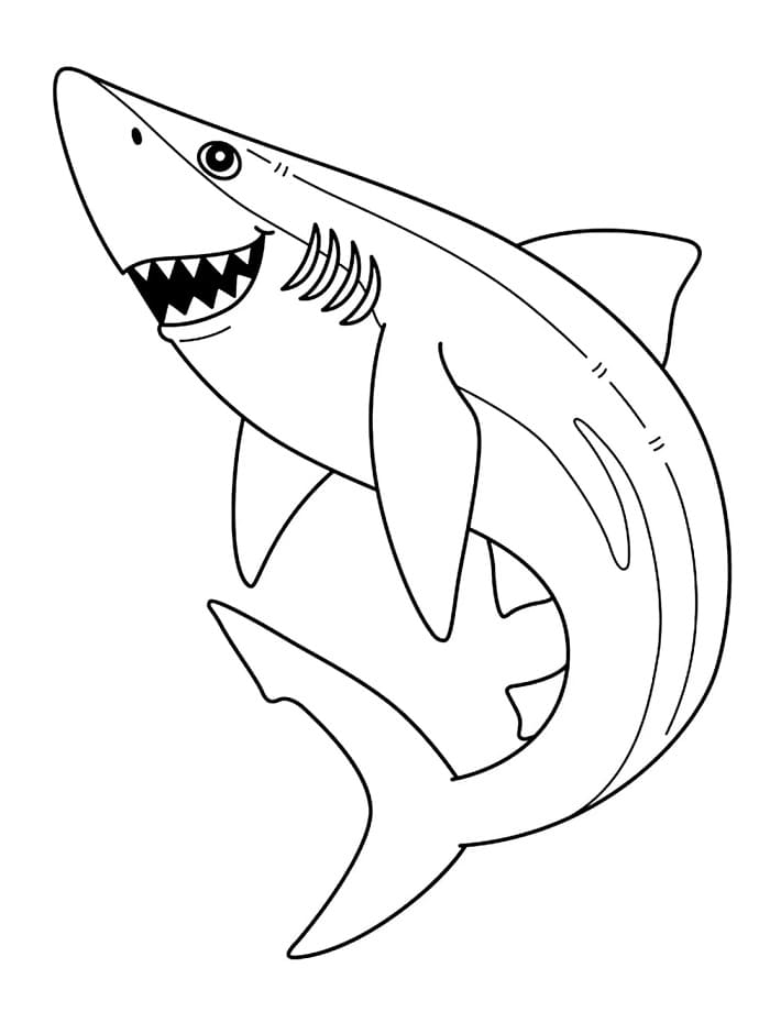 Žralok pro děti 1 rok omalovánka