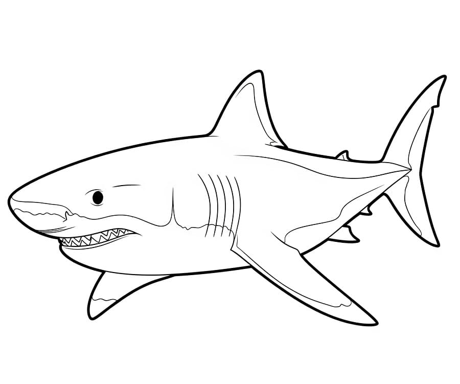 Žralok pro děti 5 let omalovánka