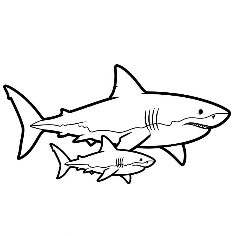 Žralok zdarma pro děti omalovánka