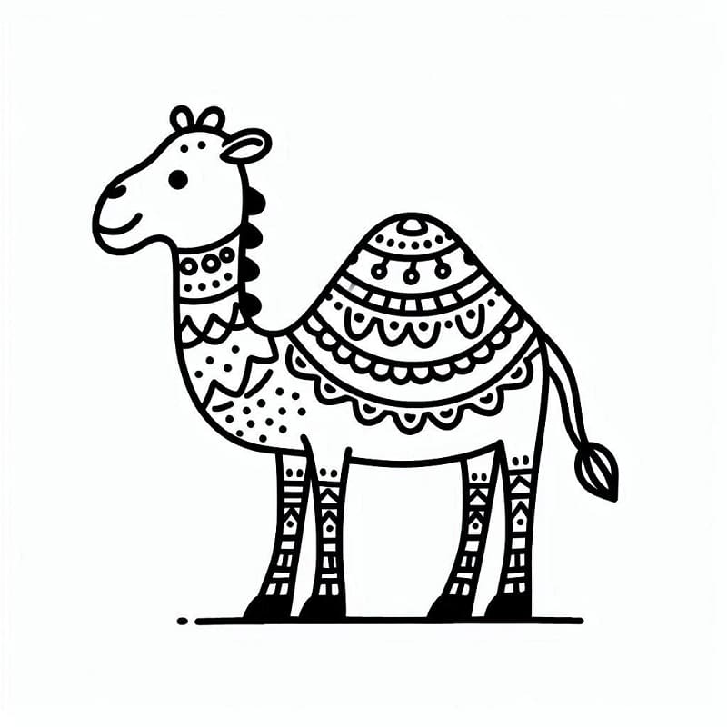 Zvíře Velbloud omalovánka