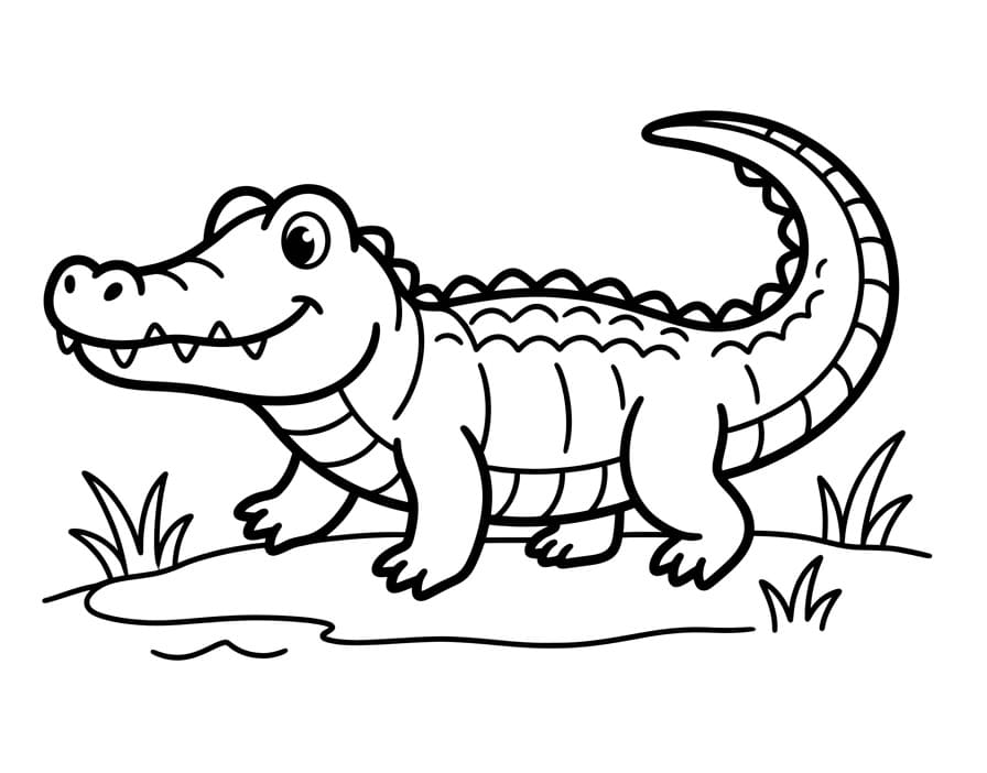 Aligátor omalovánky