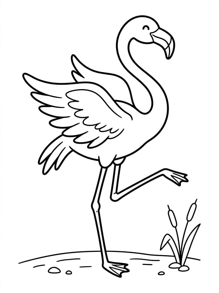 Animovaný Plameňák omalovánka