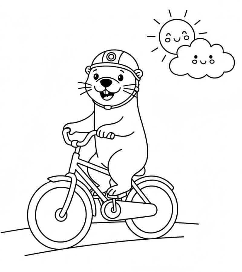 Bezplatný obrázek vydry omalovánka