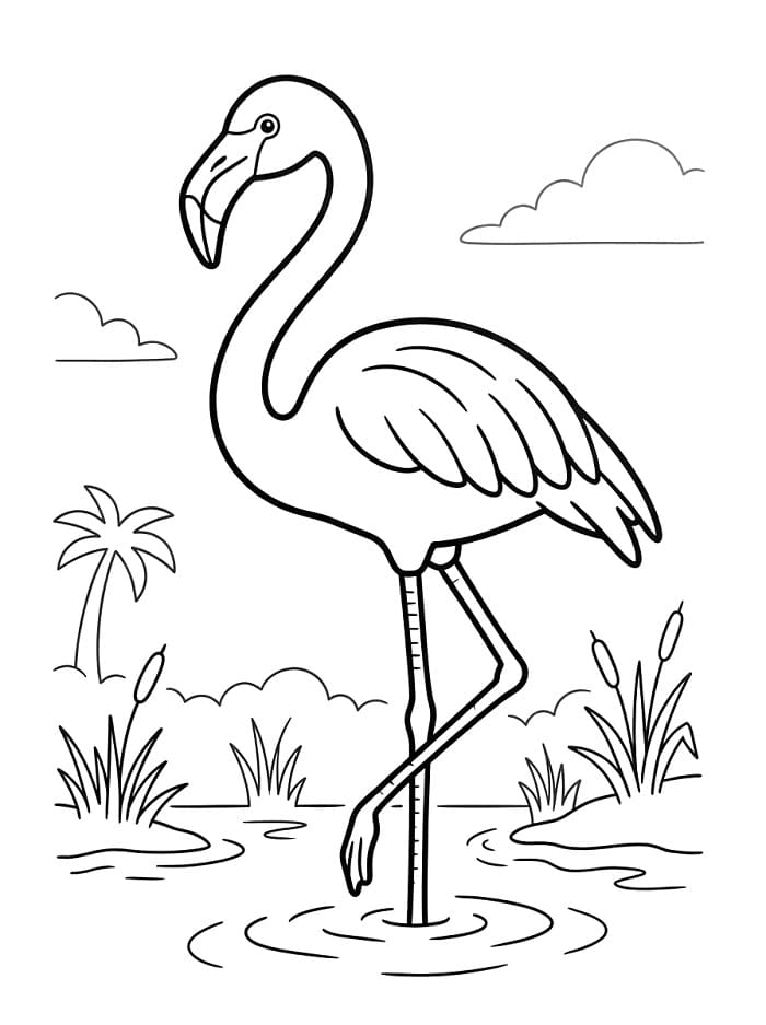 Omalovánky Plameňák