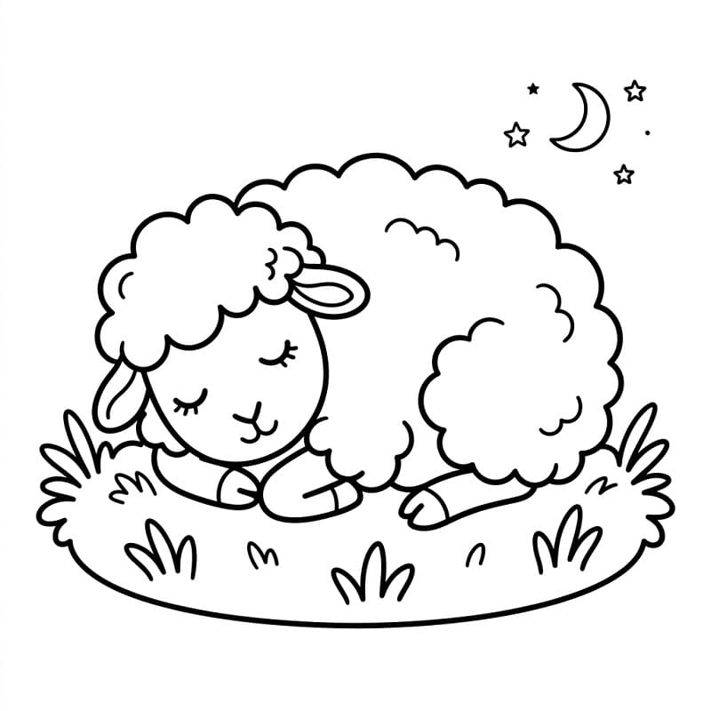 Farmářská ovce omalovánka