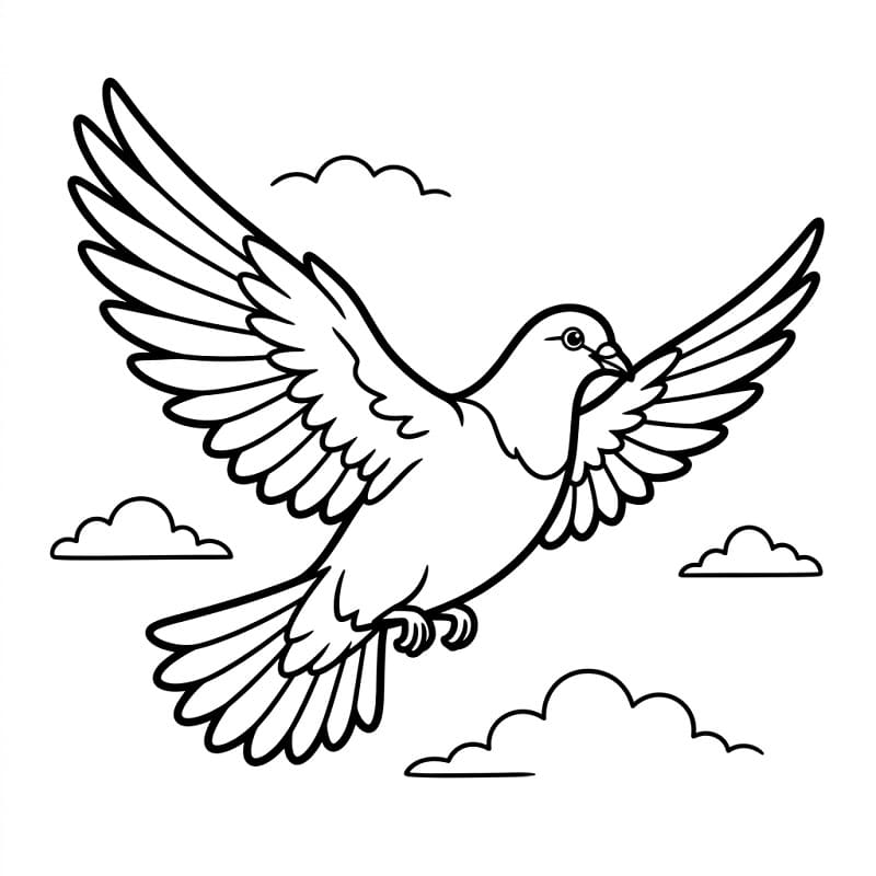 Holub Létající omalovánka