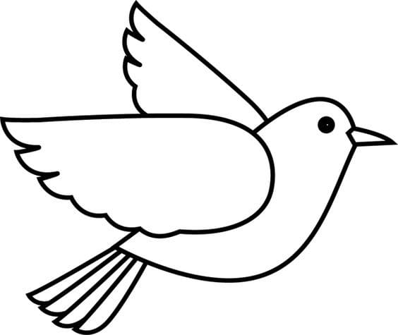 Holub k tisku omalovánka