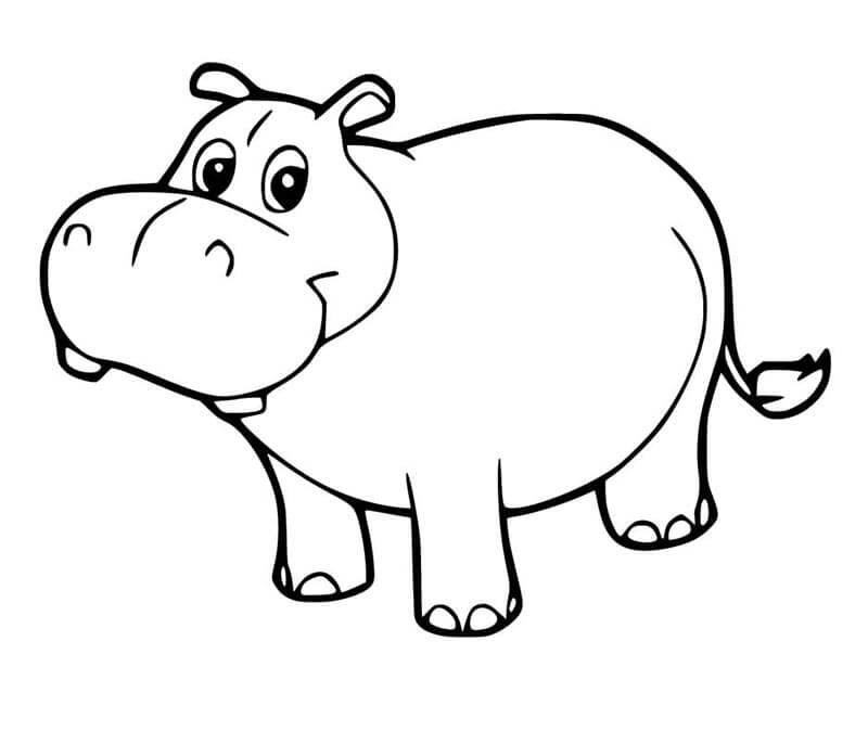 Hroch pro děti 2 roky omalovánka