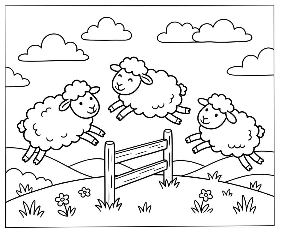 Jednoduchá ovce omalovánka