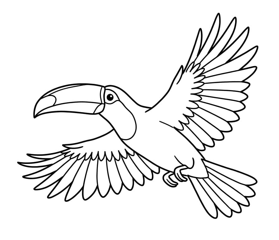 Jednoduchý tukan omalovánka