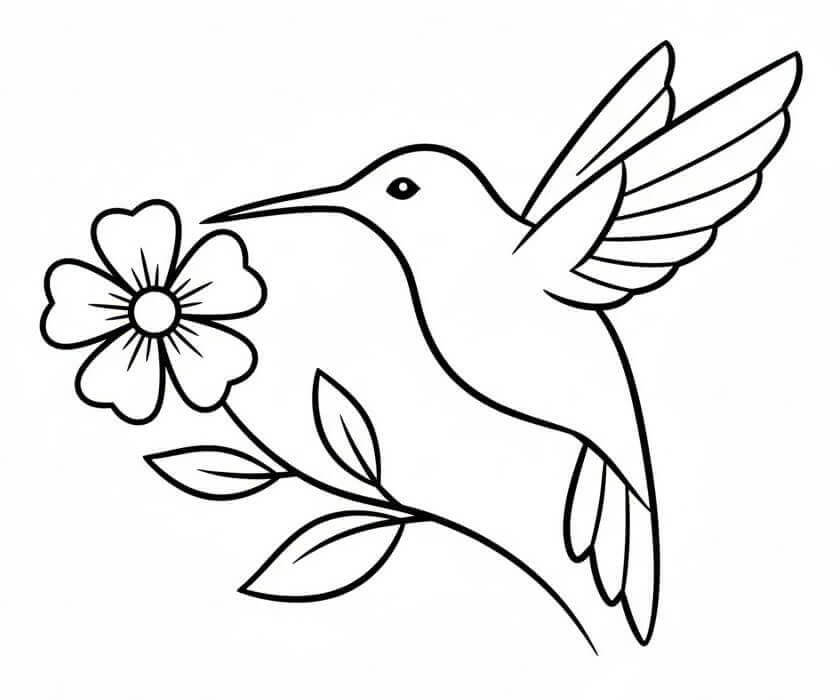 Kolibřík Snadný omalovánka