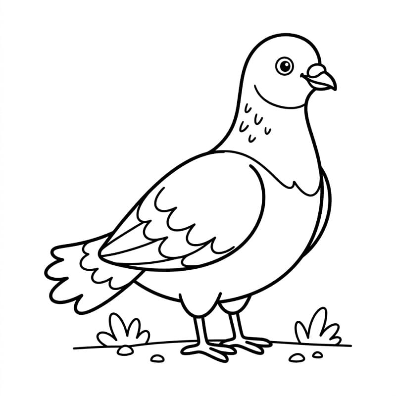Holub omalovánky