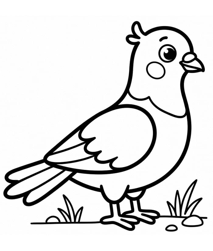 Laskavý holub omalovánka