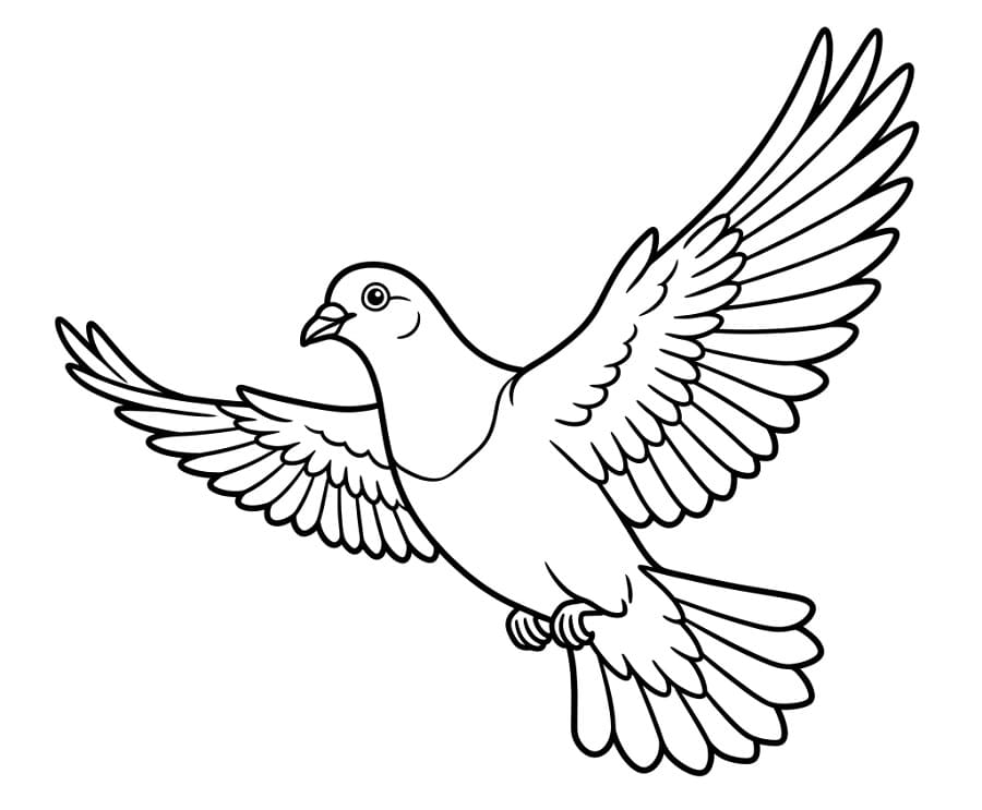 Létající holub omalovánka