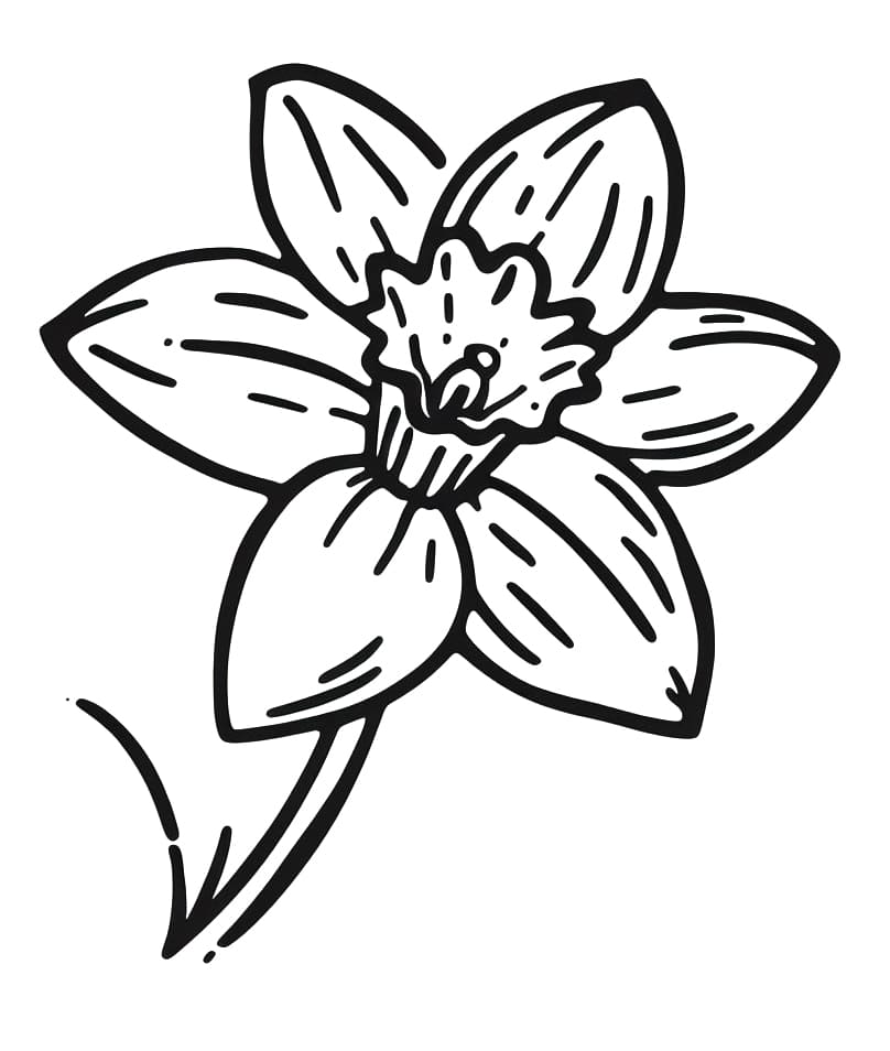 Narcis Pro 1leté Děti omalovánka