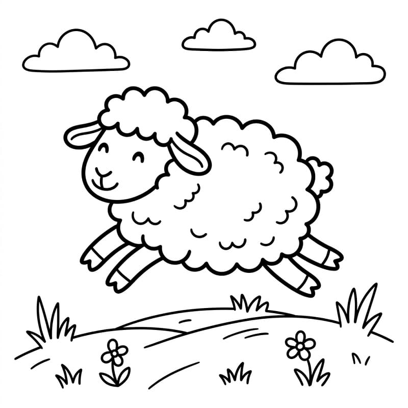 Omalovánky Ovce