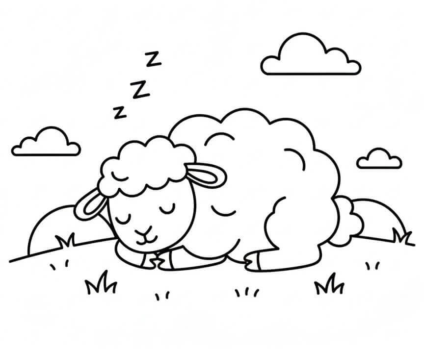 Ovce tisknutelná omalovánka